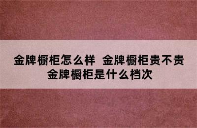 金牌橱柜怎么样  金牌橱柜贵不贵 金牌橱柜是什么档次